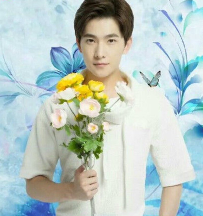 杨洋